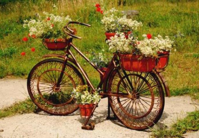 Image result for bicycle flowers