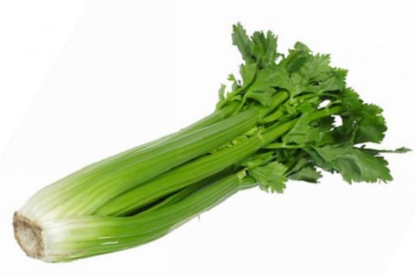 celery-442368c