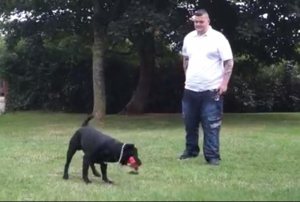 TRA�IM MU�KARCA BALKANCA! ��IVIM U NJEMA�KOJ, IMAM NOVAC, ALI I JEDAN USLOV�