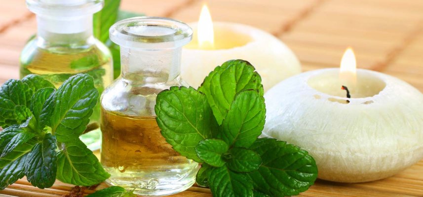 20-best-benefits-of-peppermint-oil-for-skin-hair-and-health
