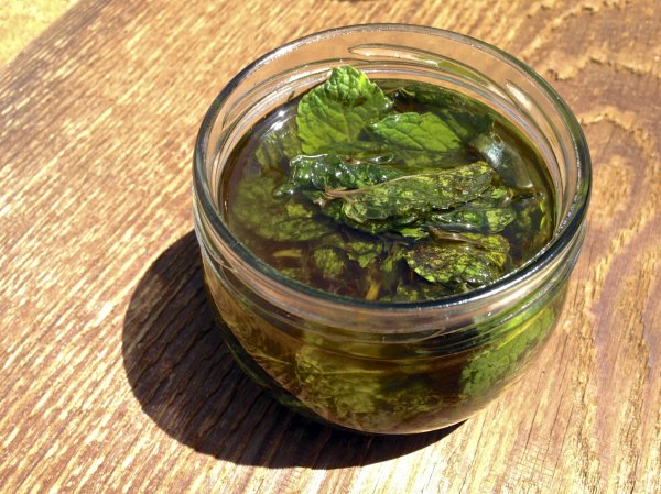 how-to-make-peppermint-oil2