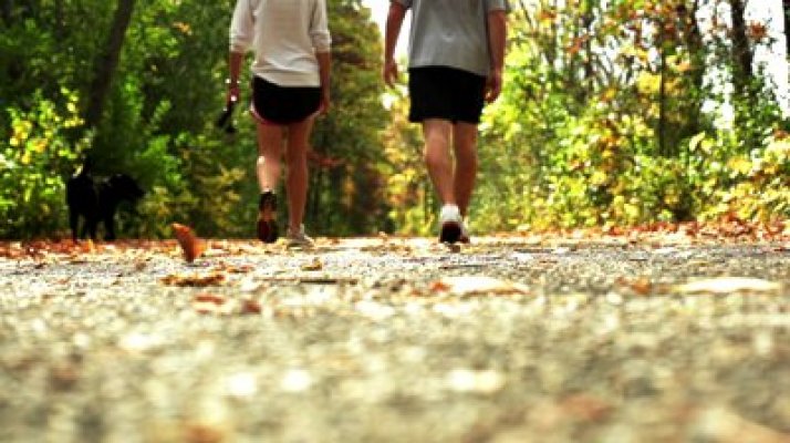 stock-footage-young-couple-walking-their-dog-down-a-walking-trail-on-a-warm-autumn-day-low-camera-angle