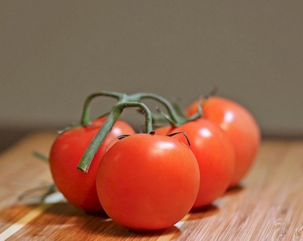 paradajz-3