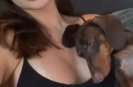 Novi / ŠejlaĐakovac