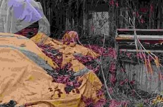 Novi / Jutarnji.hr / Životinja u zološkom vrtu