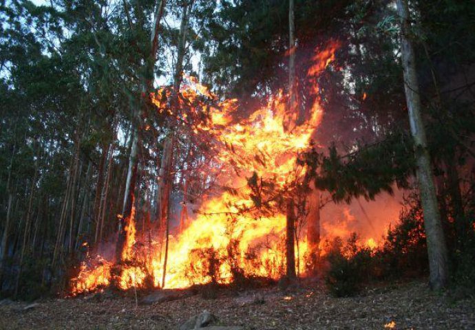 Na granici BiH i Hrvatske izbio šumski požar