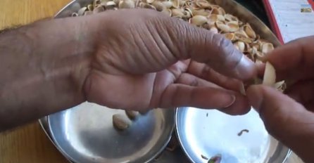 Kako najlakše oguliti pistaćije?