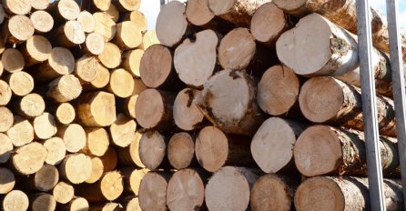 Sutra sastanak Asocijacije drvne industrije i šumarstva BiH