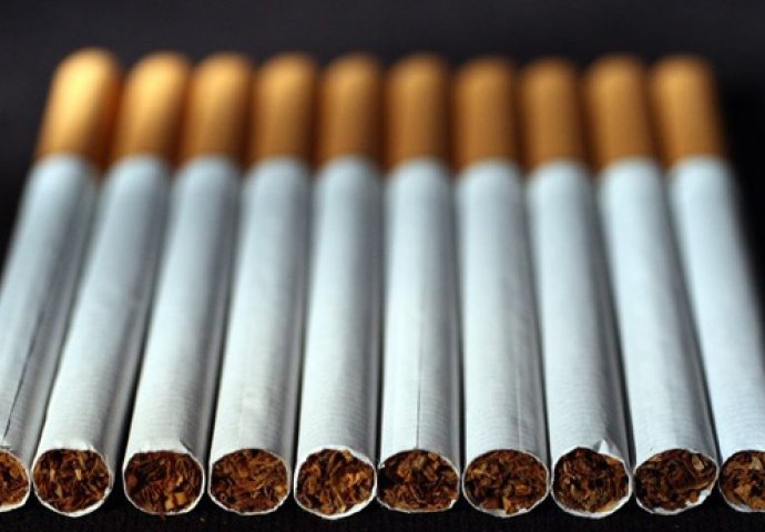 Duhanska proizvodnja pod znakom pitanja