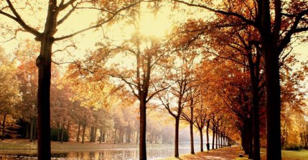 8 kvaliteta ljudi rođenih u novembru