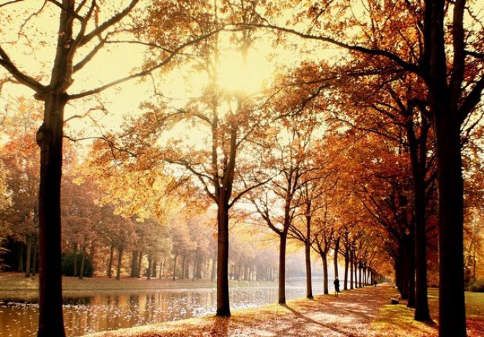 8 kvaliteta ljudi rođenih u novembru