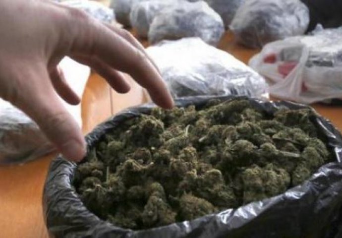 Zaplijenjeno 14 kilograma marihuane