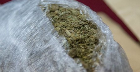 Pronađeno i oduzeto oko 50 grama marihuane