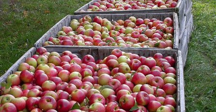 Rusija traži pojašnjenje od BiH: Odakle vam 100 puta više jabuka?