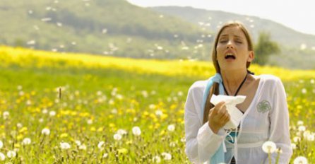 Kako pobijediti alergije na prirodan način?