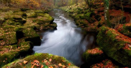 Prelijepi krajolici (koji žele da vas ubiju)