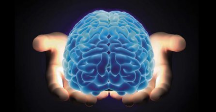 20 zanimljivih činjenica o ljudskom mozgu