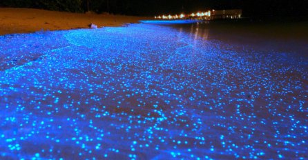 Doživite čaroliju svjetleće plaže na Maldivima