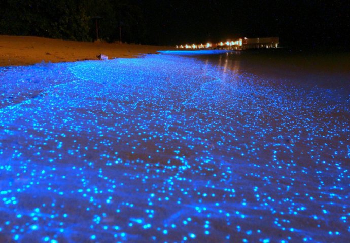 Doživite čaroliju svjetleće plaže na Maldivima