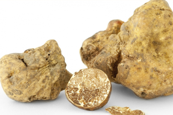 white-truffle