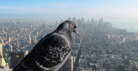 Nevjerovatne fotografije poznatih svjetskih destinacija iz ptičije perspektive