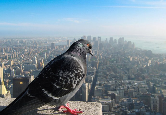 Nevjerovatne fotografije poznatih svjetskih destinacija iz ptičije perspektive