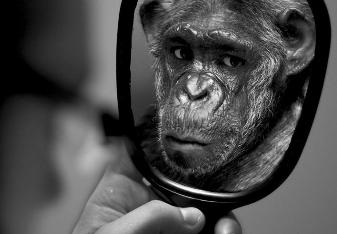 Ogledalce, ogledalce ko me zapravo nervira?