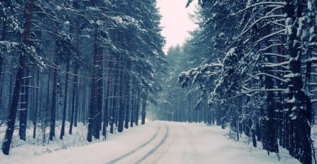 8 kvaliteta ljudi rođenih u decembru