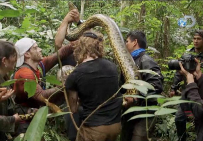 Trebao je to biti suludi pothvat koji će zapanjiti svijet, ali je postao predmet sprdnje