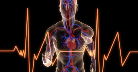 Kardiovaskularne bolesti - vodeći uzrok smrti kod žena