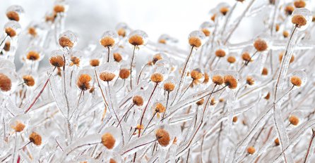 Ledena umjetnost koja će vas ostaviti bez riječi