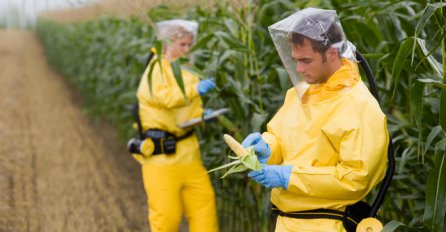 Dvije trećine uzoraka hrane u BiH sadrži GMO