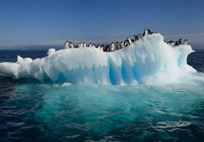 Antarktik
