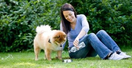 Značaj vode u ishrani vašeg psa