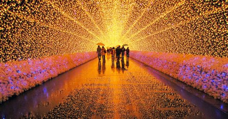 Veličanstvena svjetlosna atrakcija: Svjetlosni šou zimskog cvijeća