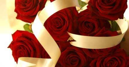 Simbolika cvijeća: Crvena ruža za ljubav, bijela orhideja za elegantnu damu, žuti zumbul za izvinjenje...