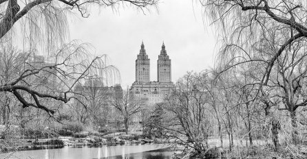 Čarobni Central Park
