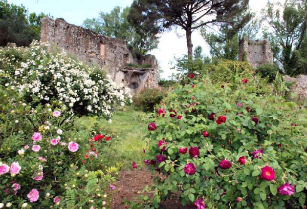 najromanticnija-basta-na-svijetu1