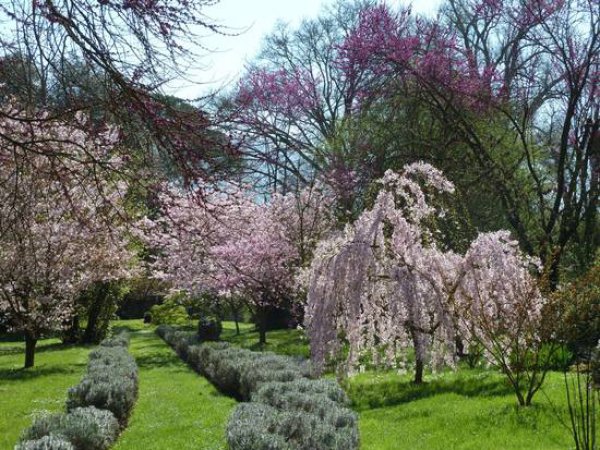 najromanticnija-basta-na-svijetu5