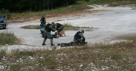 SIPA nabavila tri mlada belgijska ovčara 