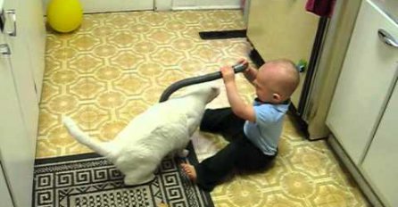 Pogledajte prekrasno prijateljstvo između gluhog mačka i dječaka Liama!