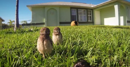 Sove plešući uz numeru ''Back and Forth'' već oduševile preko 2 miliona ljudi