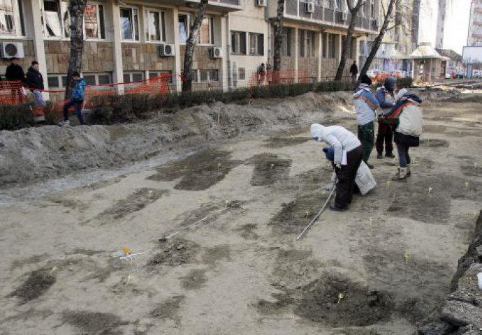 Otkriveno groblje ispod ulice u Novom Sadu