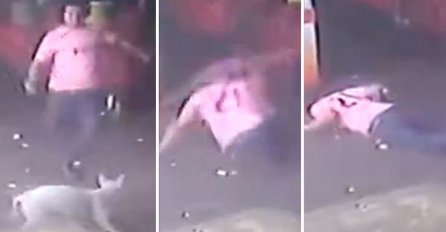 Pokušao je udariti psa, a na kraju je sebe povrijedio