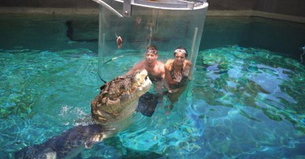 Park Crocosaurus Cove: Licem u lice s ubojitim morskim  krokodilima