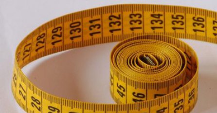 Koja je prosječna veličina i obim penisa?