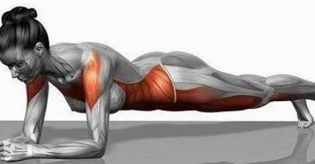 Plank vježba zateže svaki mišić na tijelu