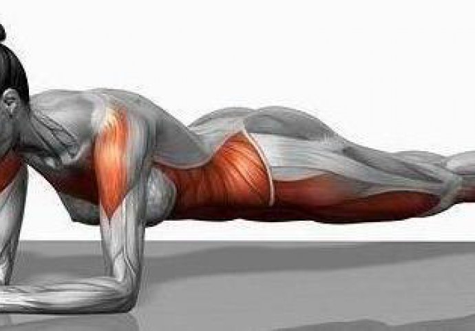 Plank vježba zateže svaki mišić na tijelu