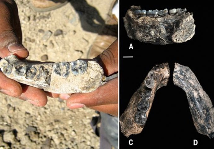 'Prvi čovjek' iskopan u Etiopiji