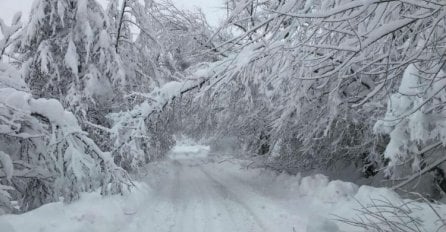 Bugarska ostala bez struje